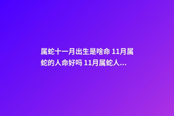 属蛇十一月出生是啥命 11月属蛇的人命好吗 11月属蛇人的命运如何-第1张-观点-玄机派